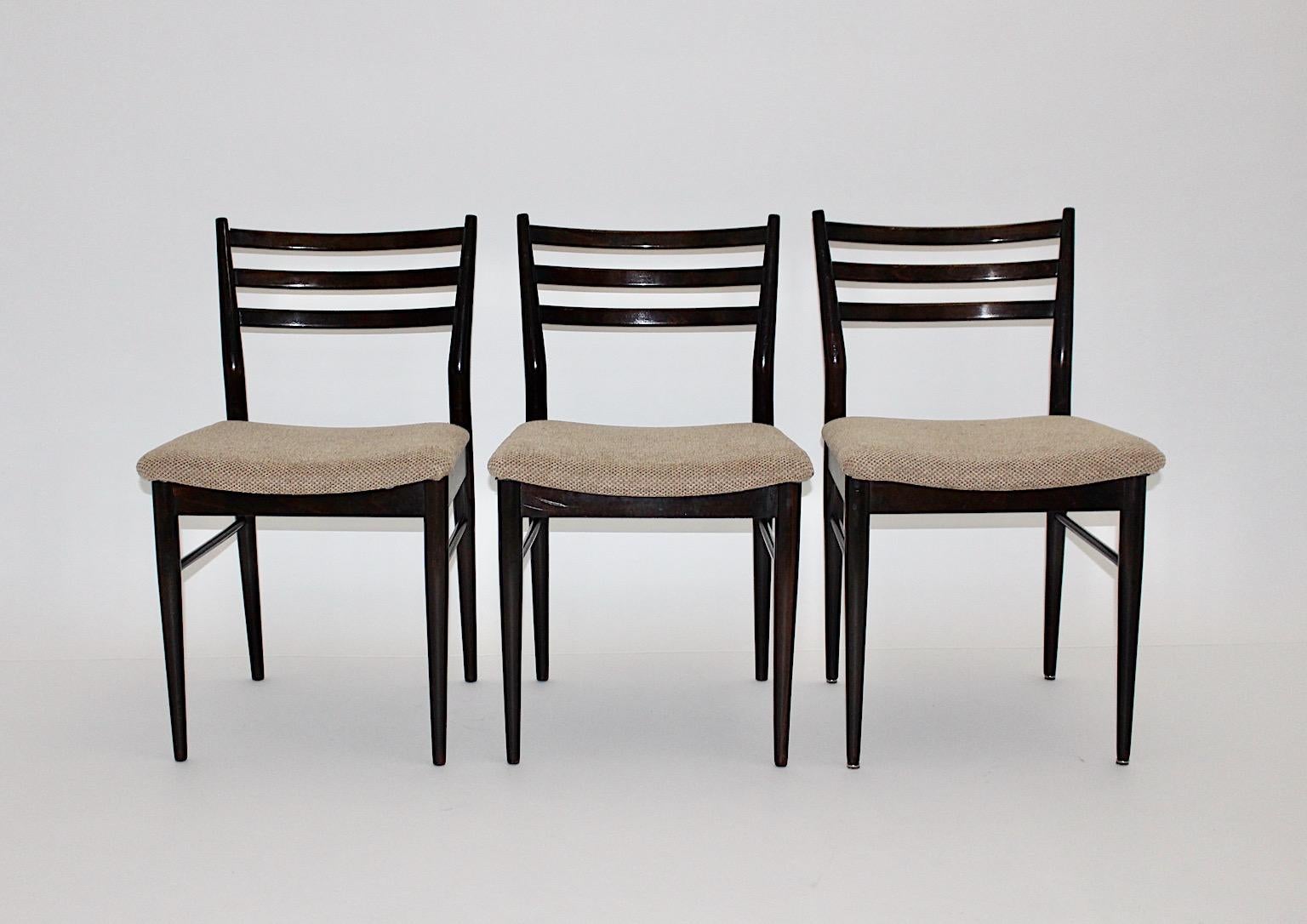 Mid-Century Modern Vintage Brown Beech Six Gio Ponti Style Dining Chairs, 1960s For Sale 8