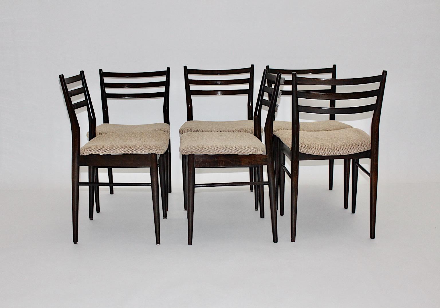Mid-Century Modern Vintage Brown Beech Six Gio Ponti Style Dining Chairs, 1960s In Fair Condition For Sale In Vienna, AT