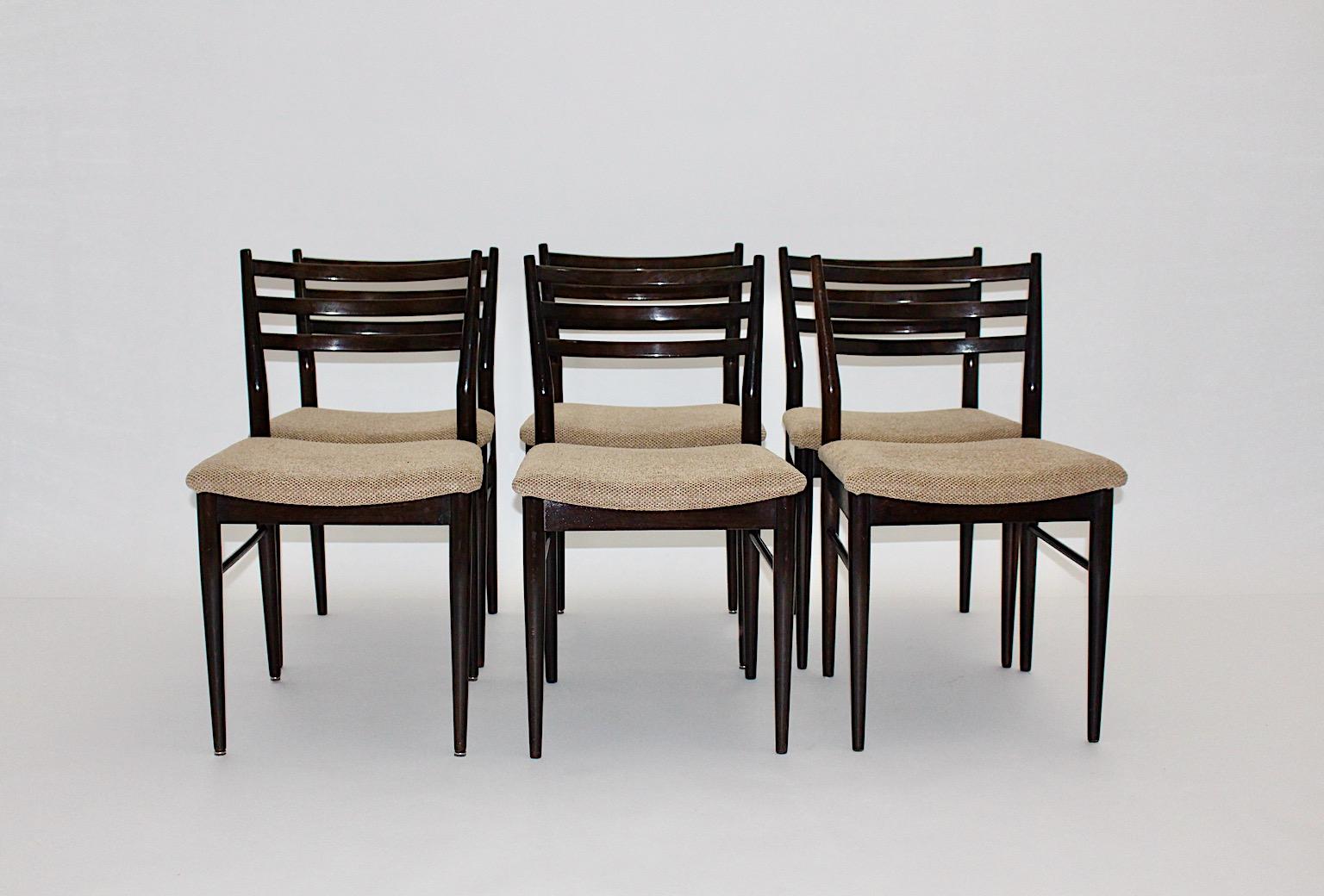 Mid-20th Century Mid-Century Modern Vintage Brown Beech Six Gio Ponti Style Dining Chairs, 1960s For Sale