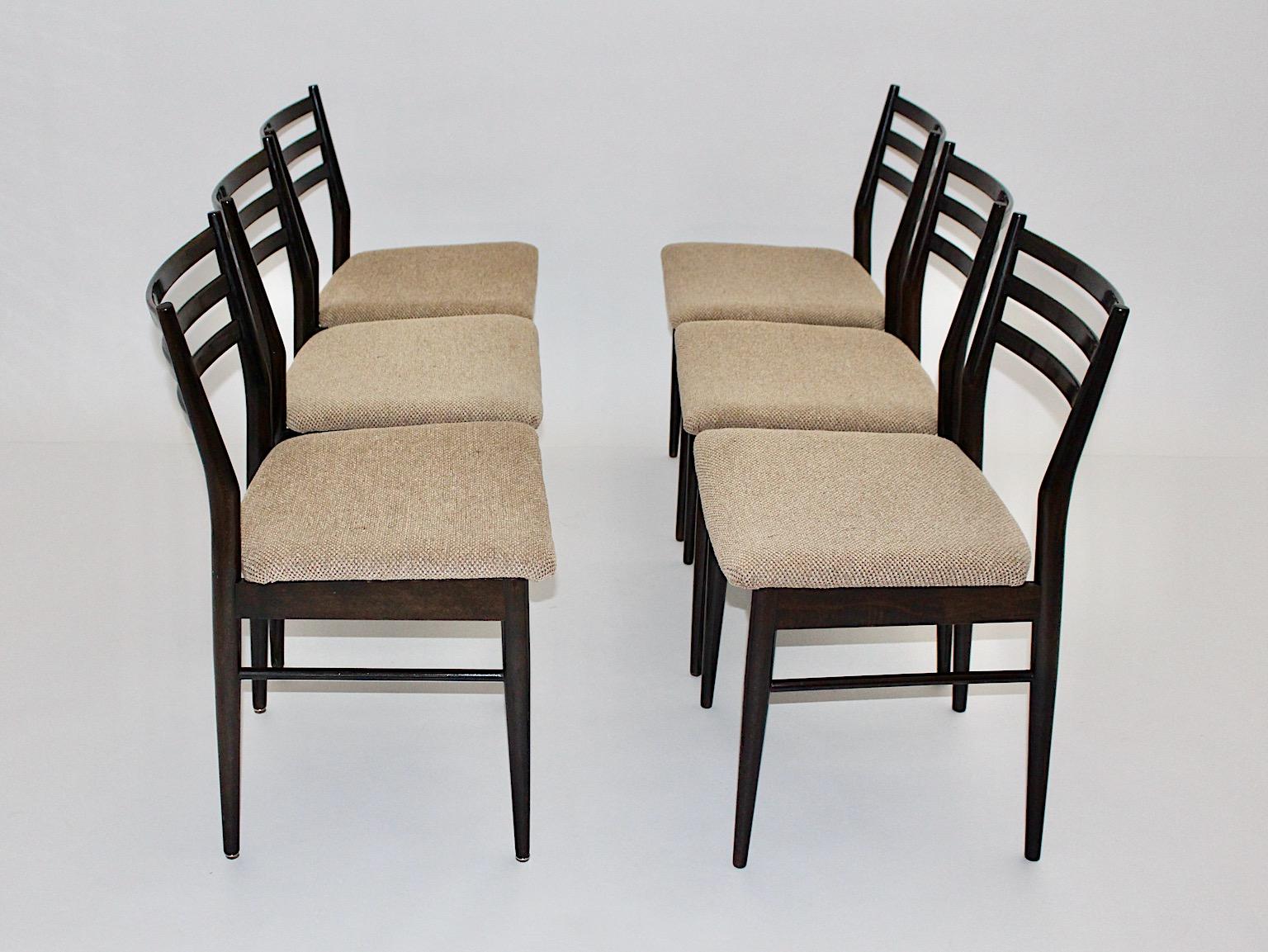 Fabric Mid-Century Modern Vintage Brown Beech Six Gio Ponti Style Dining Chairs, 1960s For Sale