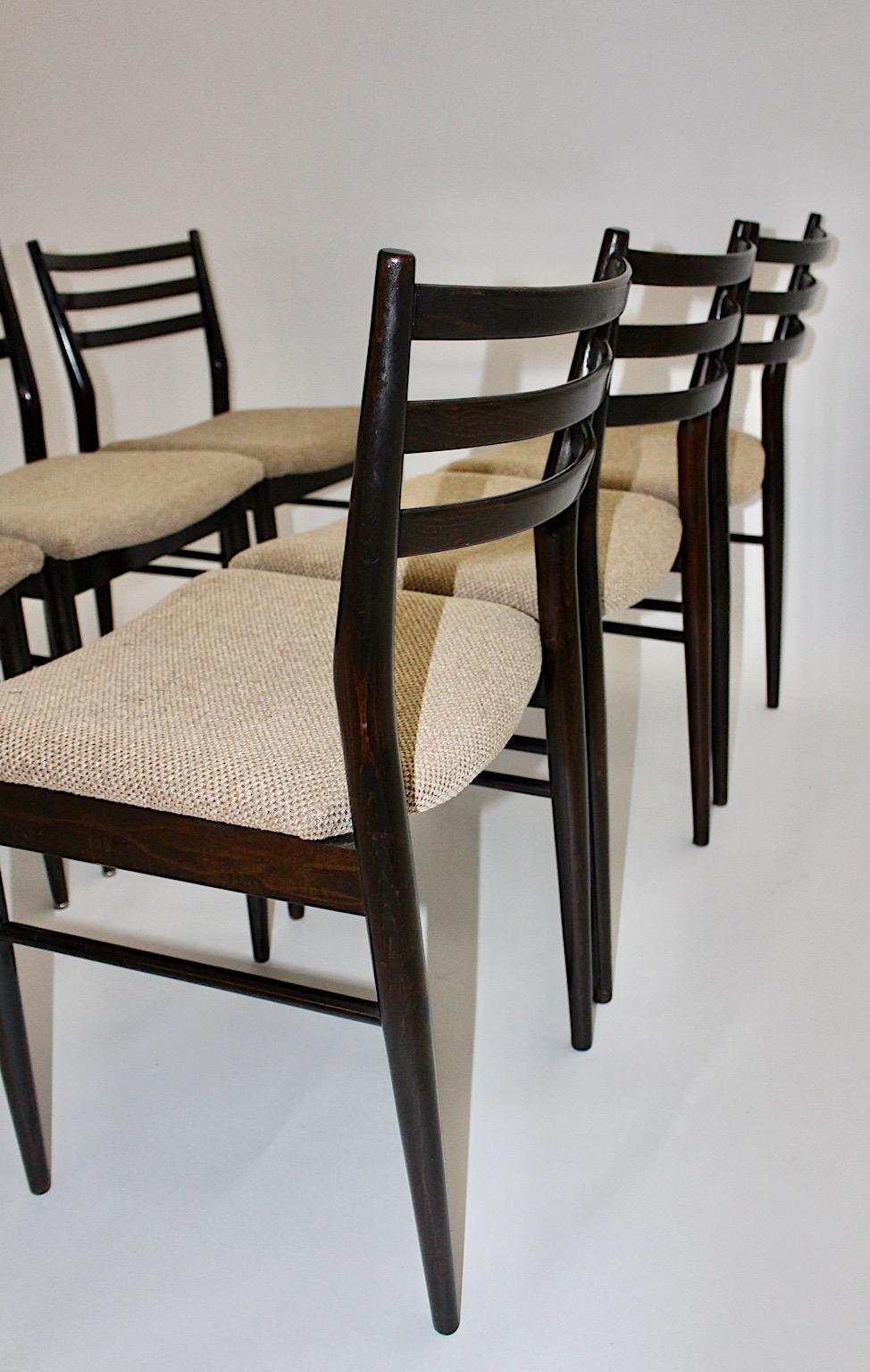 Sechs Esszimmerstühle aus brauner Buche im Gio Ponti-Stil, Mid-Century Modern, 1960er Jahre (Stoff) im Angebot