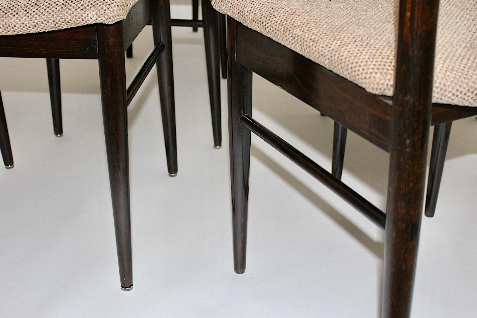 Mid-Century Modern Vintage Brown Beech Six Gio Ponti Style Dining Chairs, 1960s For Sale 2