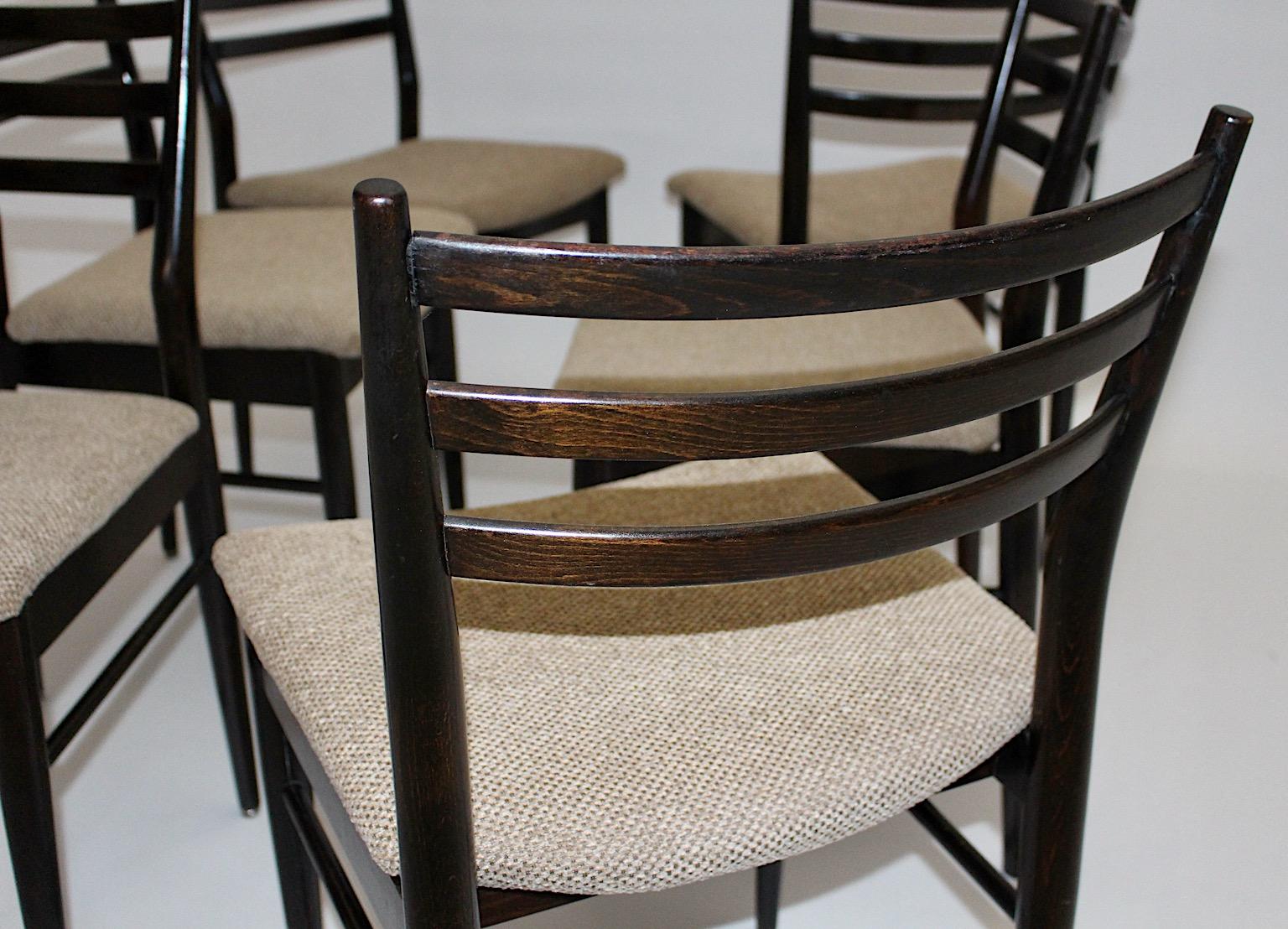 Mid-Century Modern Vintage Brown Beech Six Gio Ponti Style Dining Chairs, 1960s For Sale 3