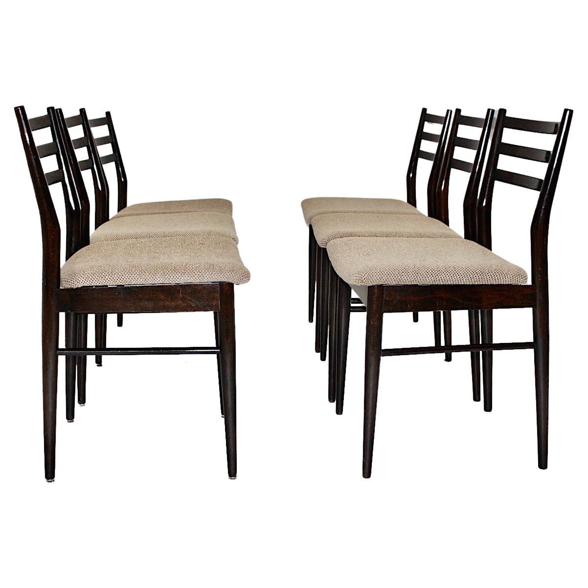 Six chaises de salle à manger vintage en hêtre marron de style Gio Ponti, années 1960
