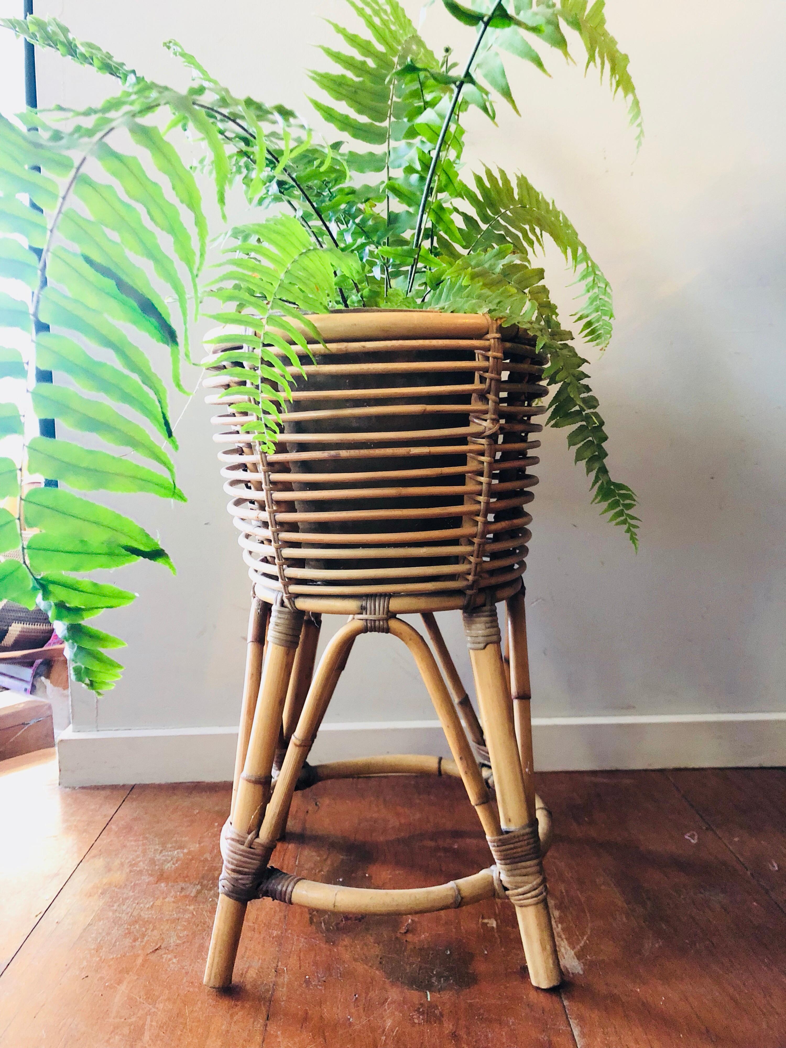 20th Century Mid-Century Modern Vintage Cane Bamboo Plant Stand For Sale