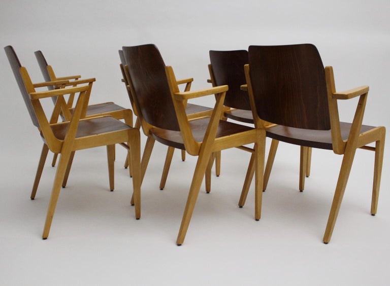 Mid-Century Modern Vintage Dining Room Chairs by Franz ...
