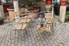 Fauteuils en métal vintage modernes du milieu du siècle Julius Jirasek pour Hagenauer, 1955