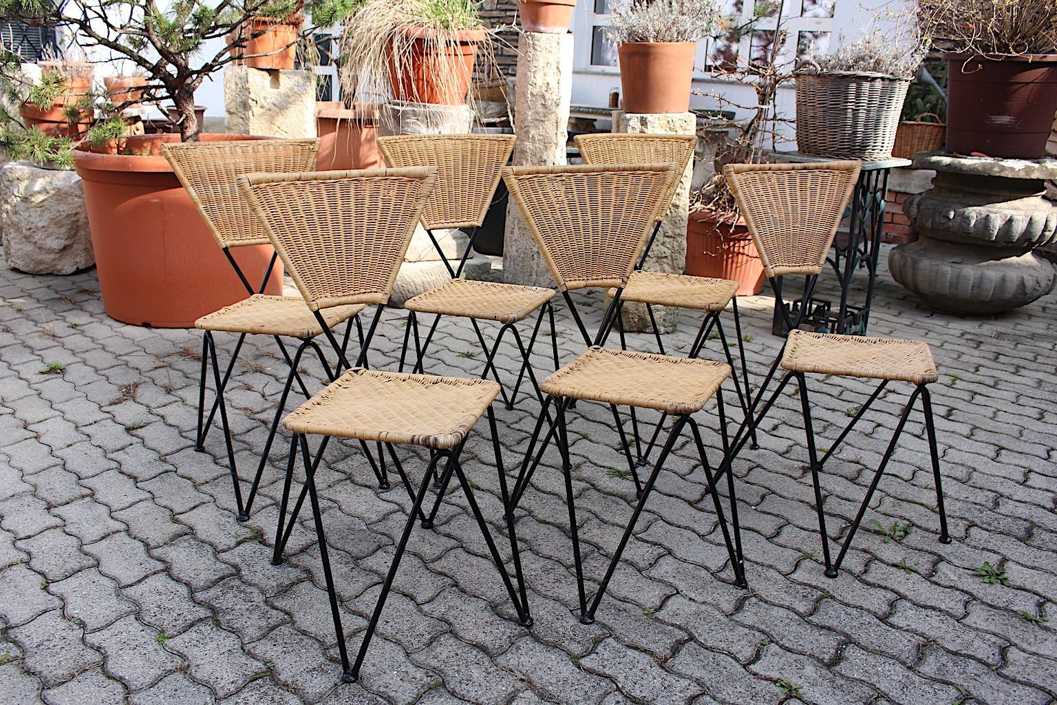 Mid Century Modern Vintage Organic Rattan Metal Dining Chairs Sonett 1950 Vienna For Sale 7