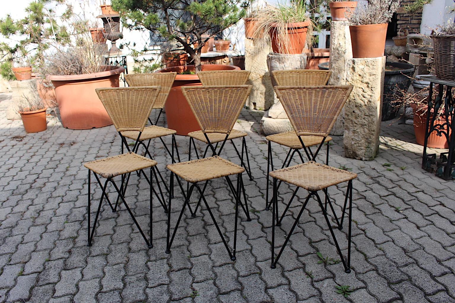 Mid Century Modern Vintage Organic Rattan Metal Dining Chairs Sonett 1950 Vienna For Sale 8