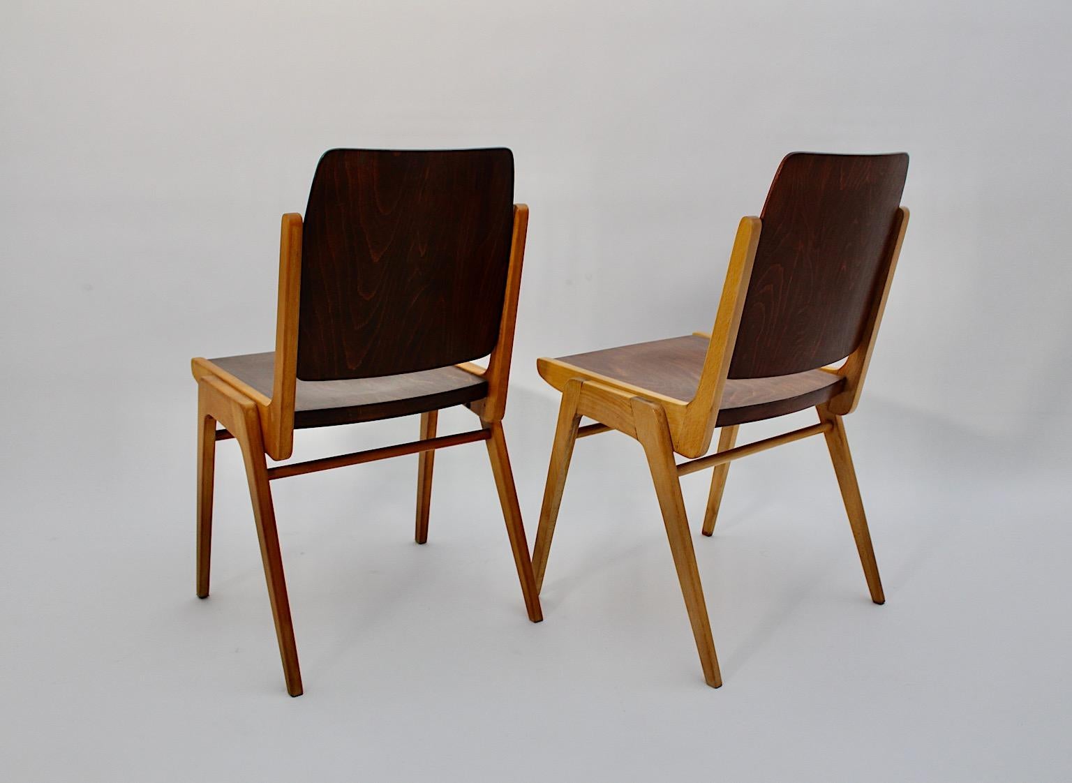 Coppia di sedie da pranzo bicolore di Schuster Modern del 1959 Vienna in vendita 2