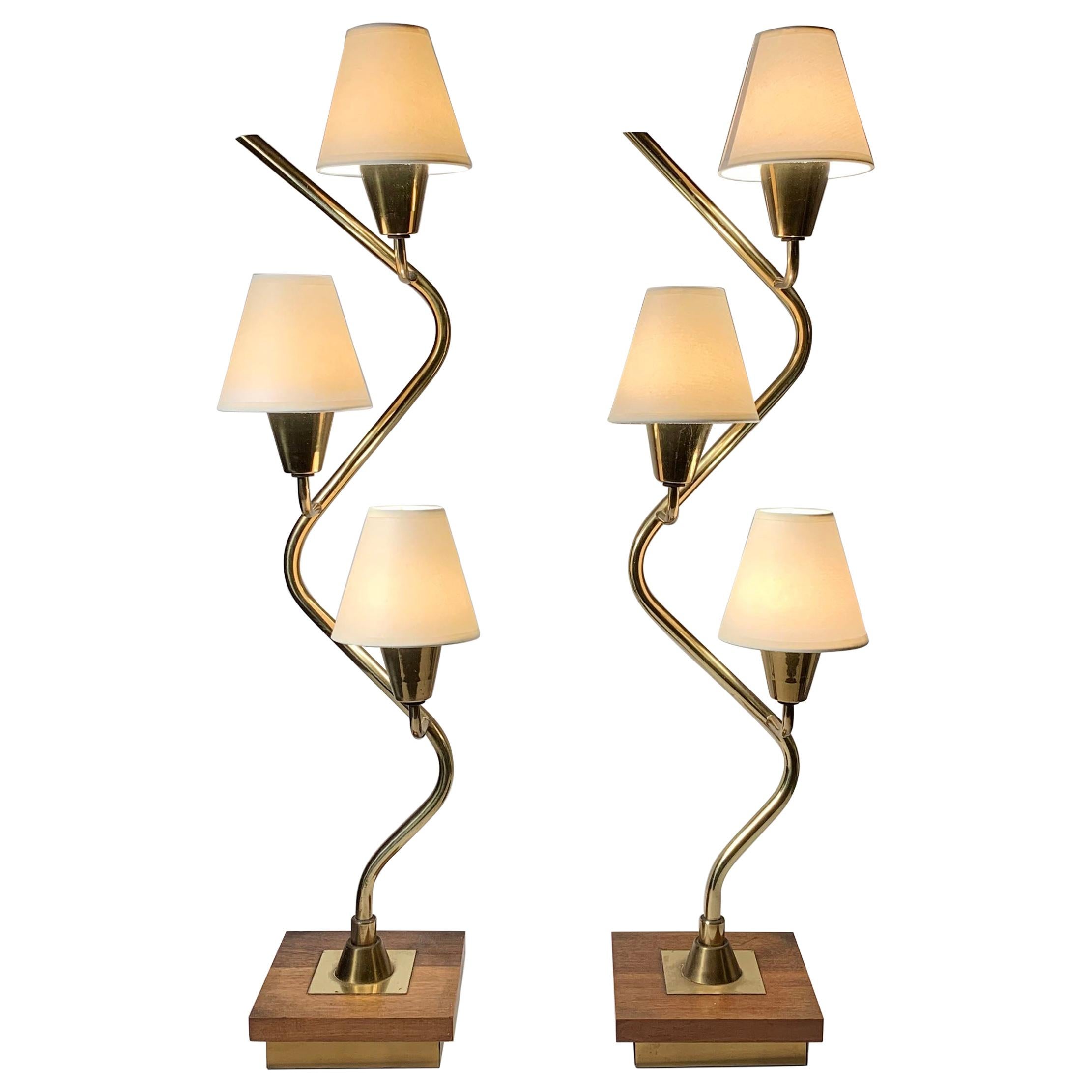 Mid-Century Modern Vintage Pair of Serpentine Table Lamps