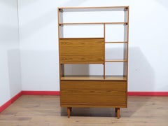 Vitrine-séparateur de pièce vintage de style « Mid-Century Modern » de la marque Schreiber, de style danois