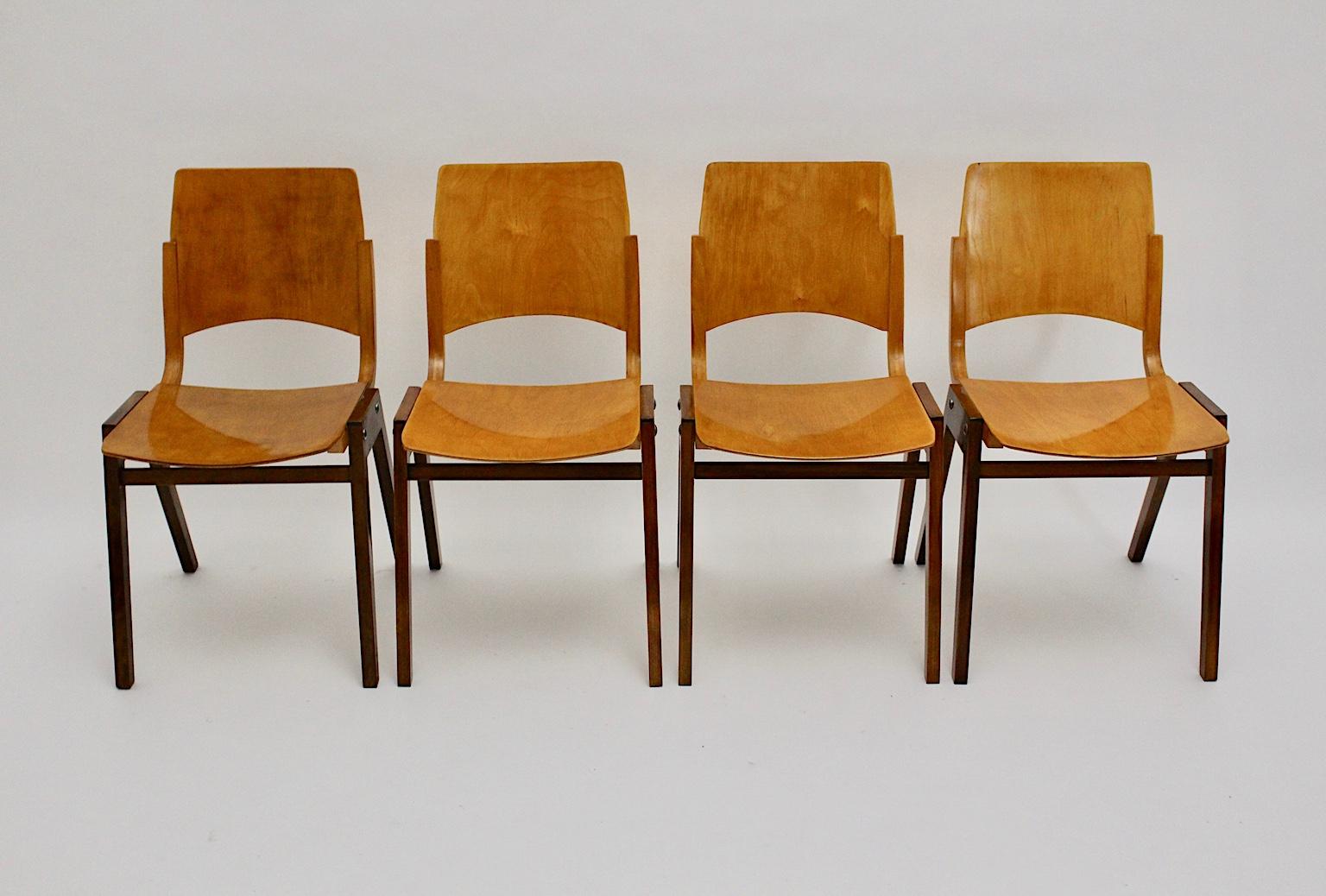 Mid-Century Modern Vintage Set of Four Dining Chair Roland Rainer, 1952, Austria For Sale 5