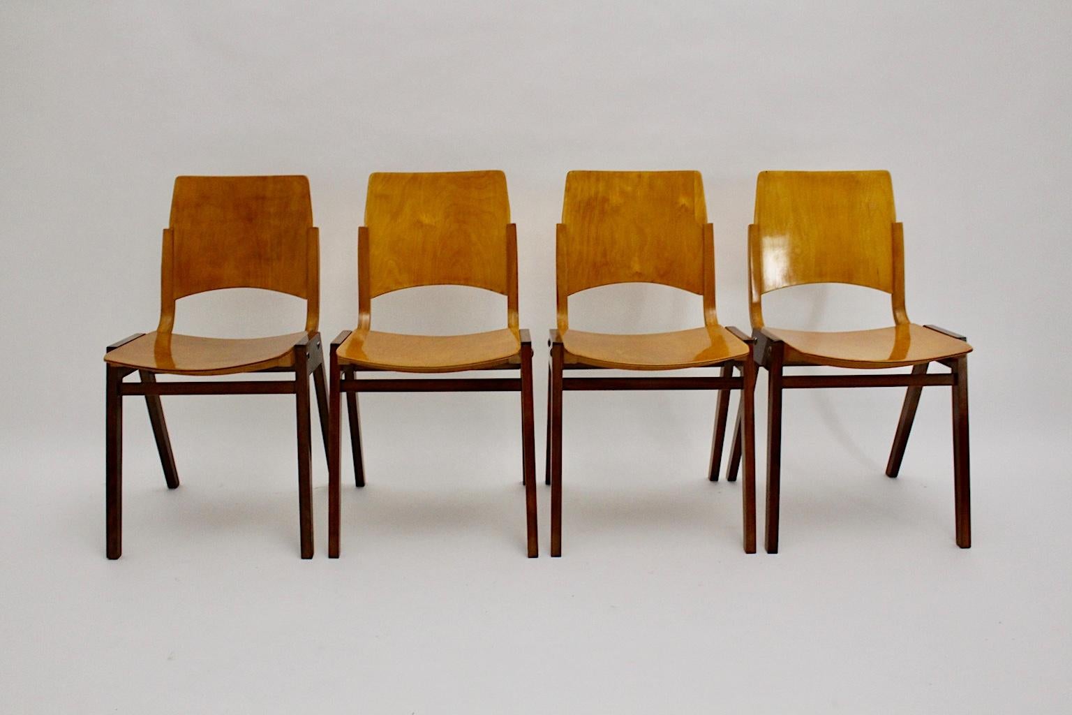 Mid Century Modern Satz von vier bicolor Esszimmerstühlen, die von Roland Rainer entworfen und von Emil & Alfred Pollak, Wien, ausgeführt wurden.
Die hier vorgestellten Esszimmerstühle wurden für den Backstage-Bereich des Wiener Rathauses (erbaut