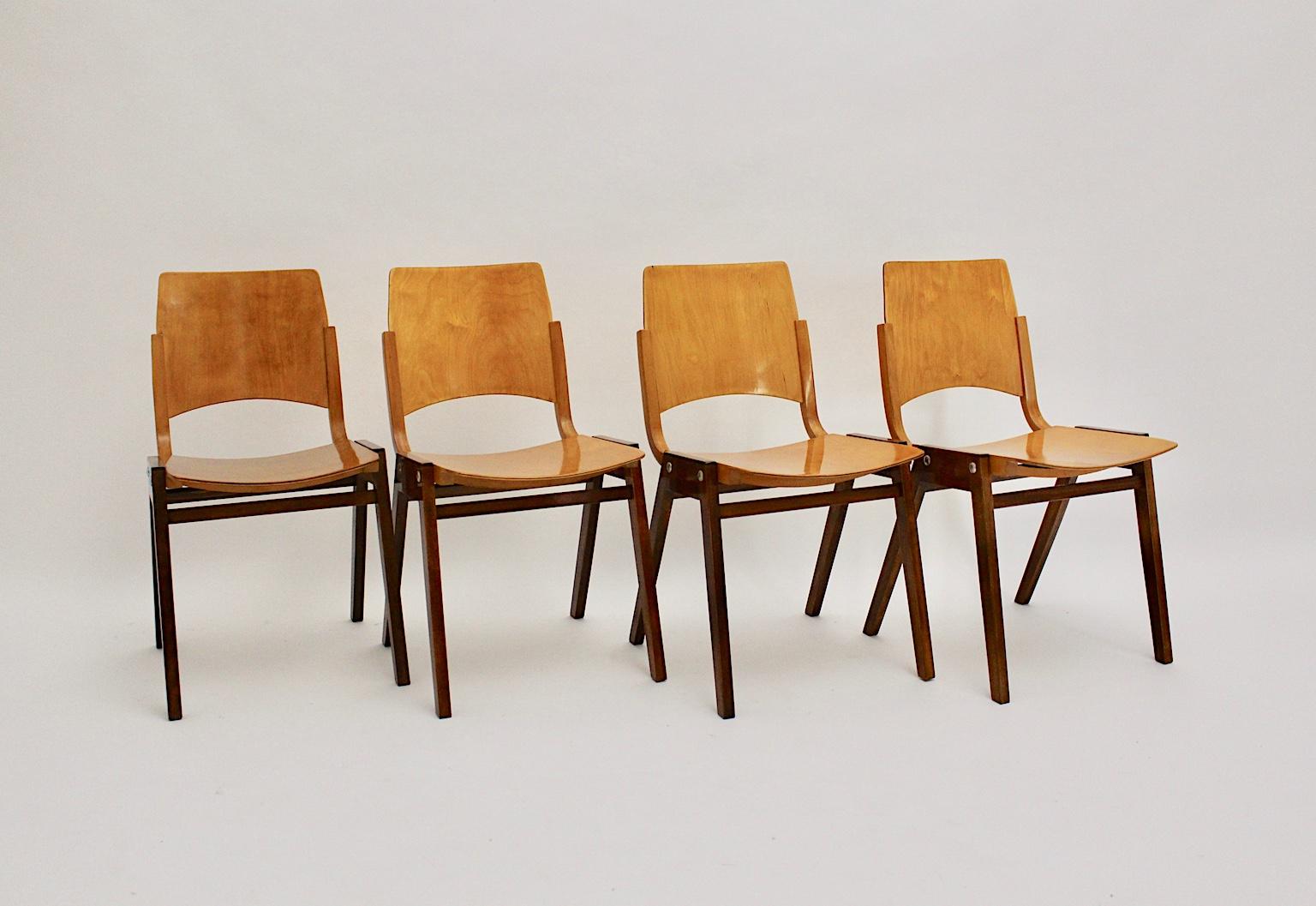 Austrian Mid-Century Modern Vintage Set of Four Dining Chair Roland Rainer, 1952, Austria For Sale