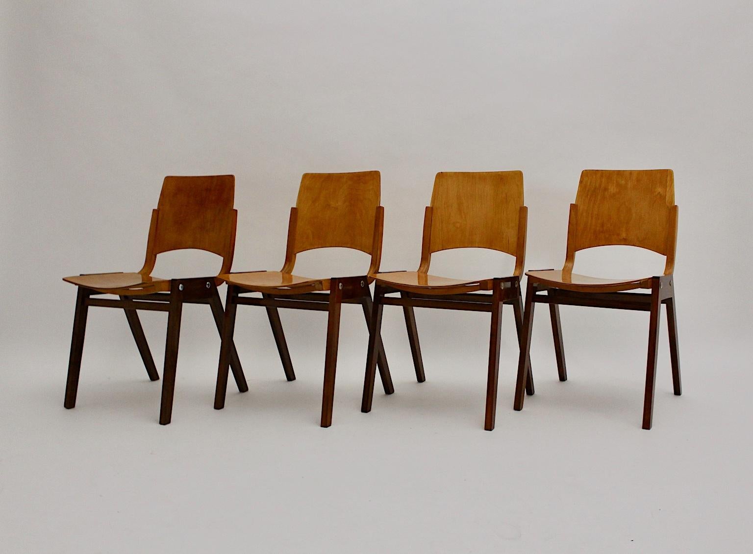 Autrichien Ensemble vintage de quatre chaises de salle à manger Roland Rainer, 1952, Autriche en vente