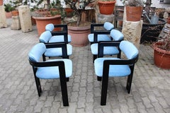 Mid-Century Modern Vintage Six Pamplona Chairs by Augusto Savini for Pozzi Italy