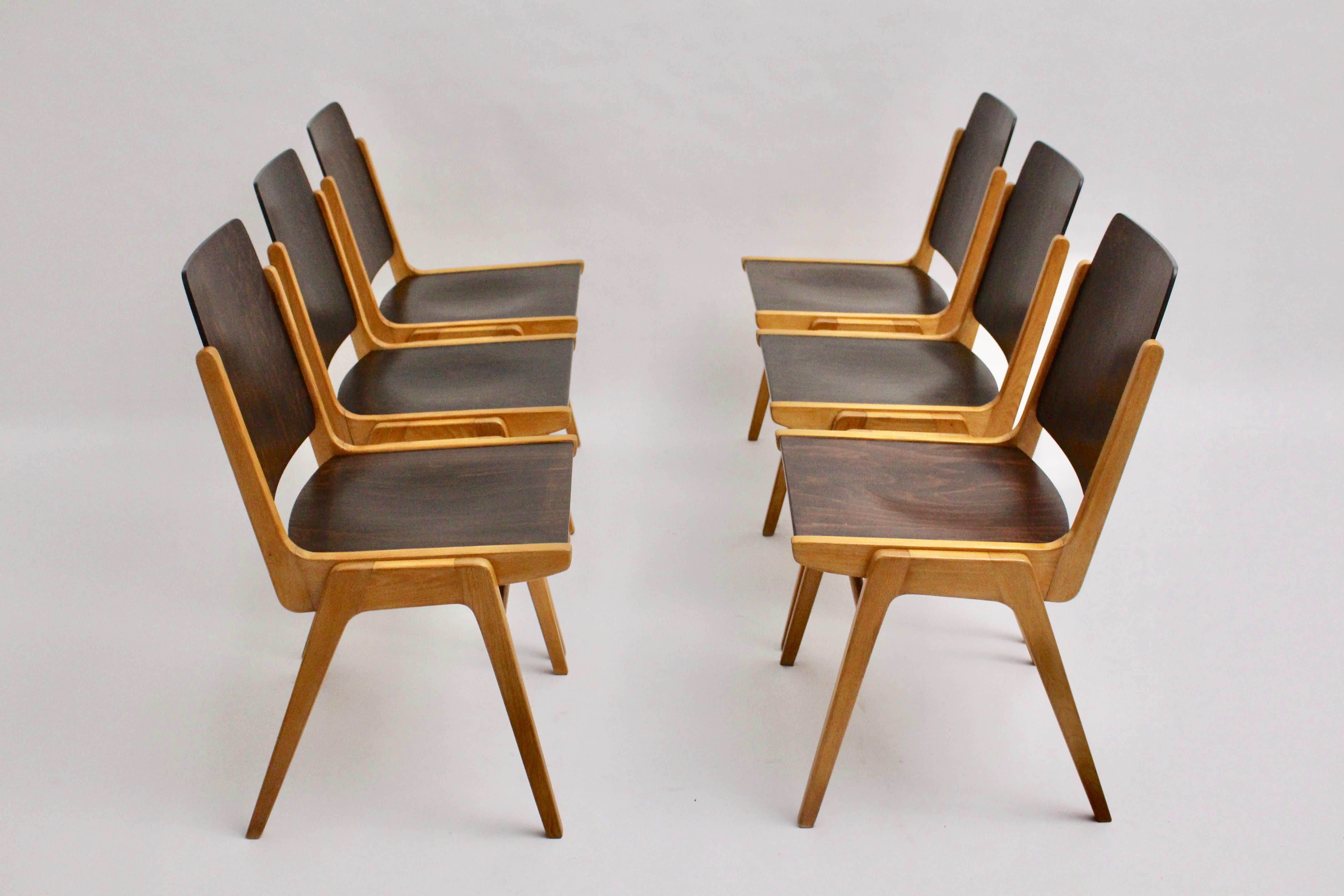 Mid Century Modern Vintage Ten Bicolor Dining Chairs Franz Schuster 1959 Vienna For Sale 7