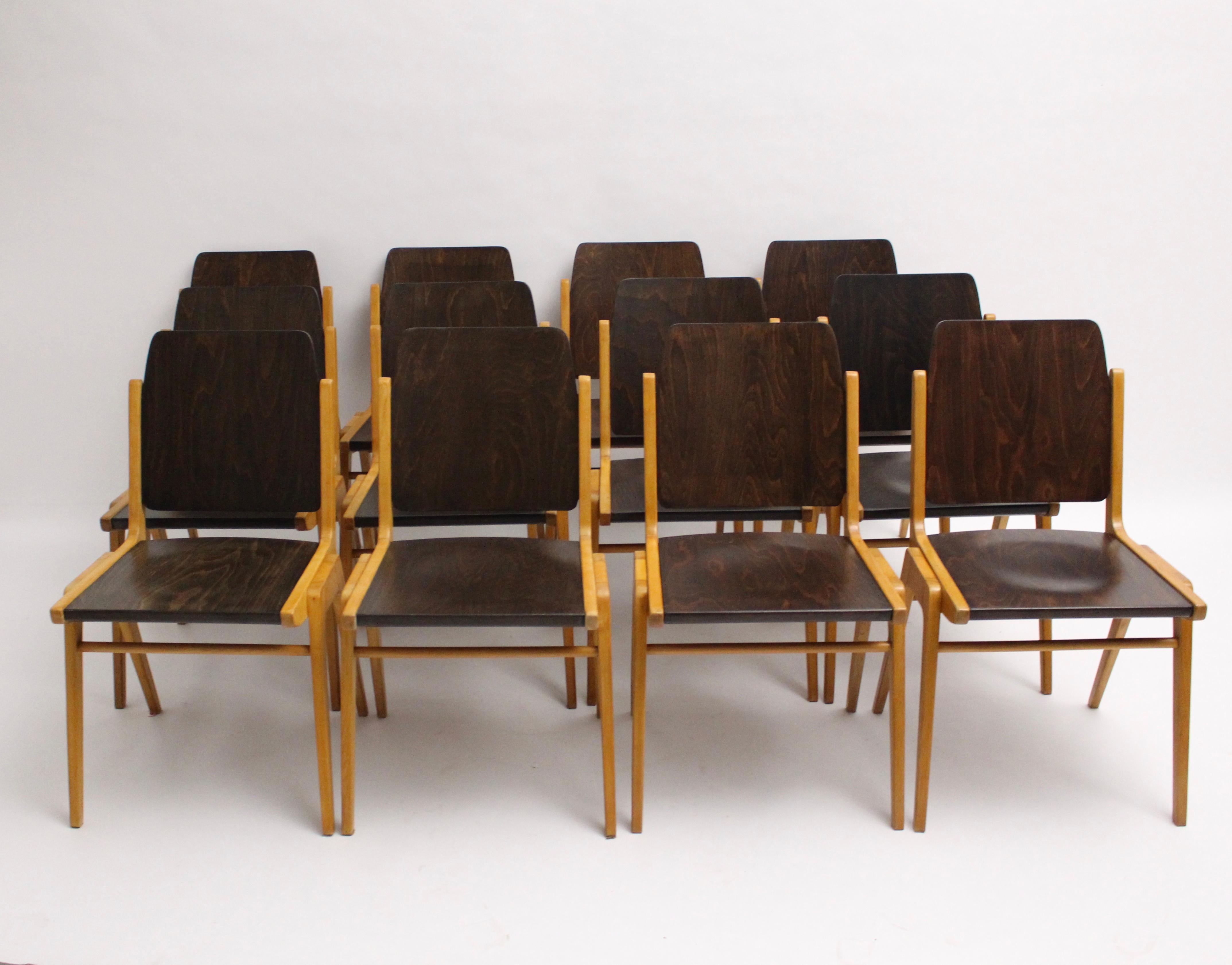 Austrian Mid Century Modern Vintage Ten Bicolor Dining Chairs Franz Schuster 1959 Vienna For Sale