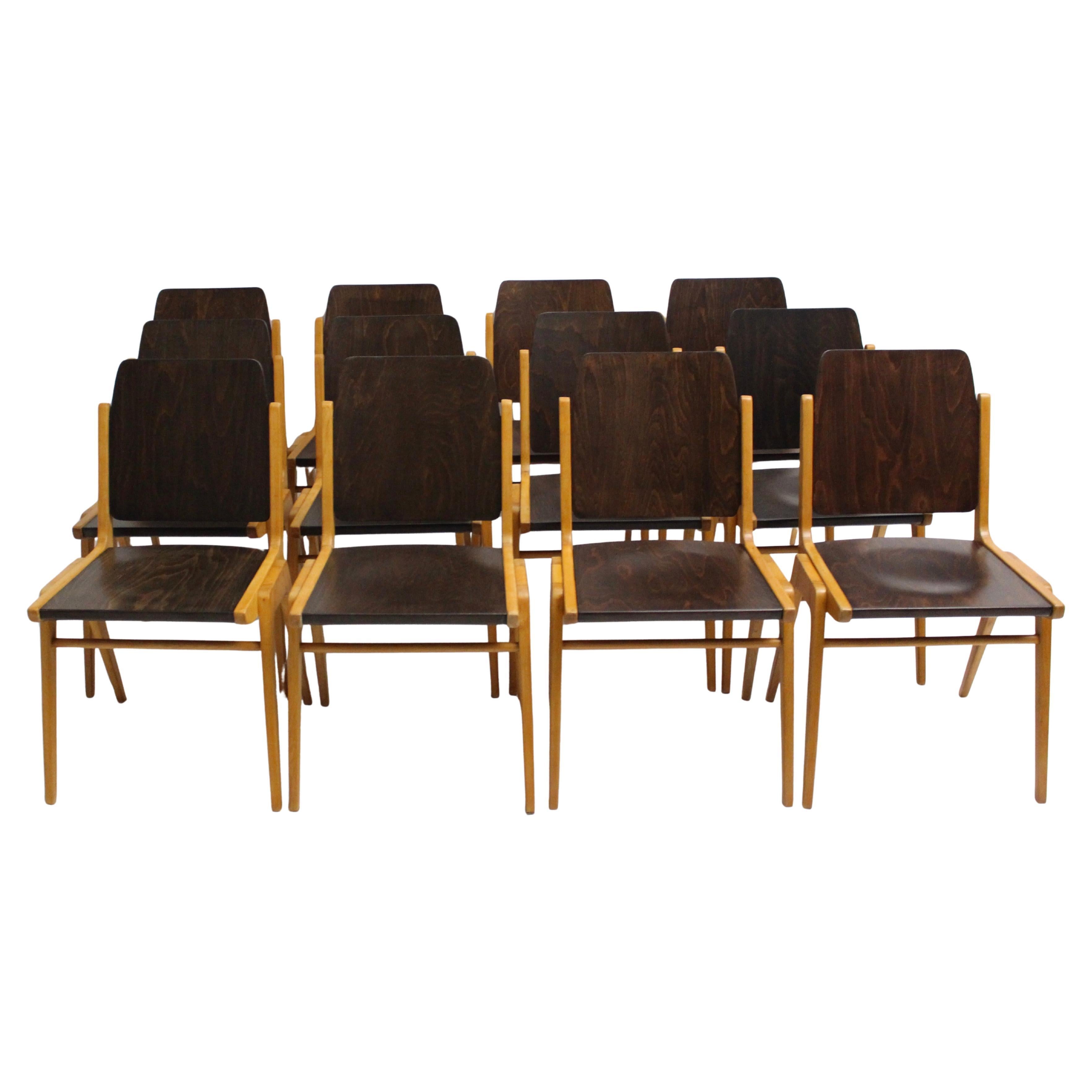Mid Century Modern Vintage Ten Bicolor Dining Chairs Franz Schuster 1959 Vienna