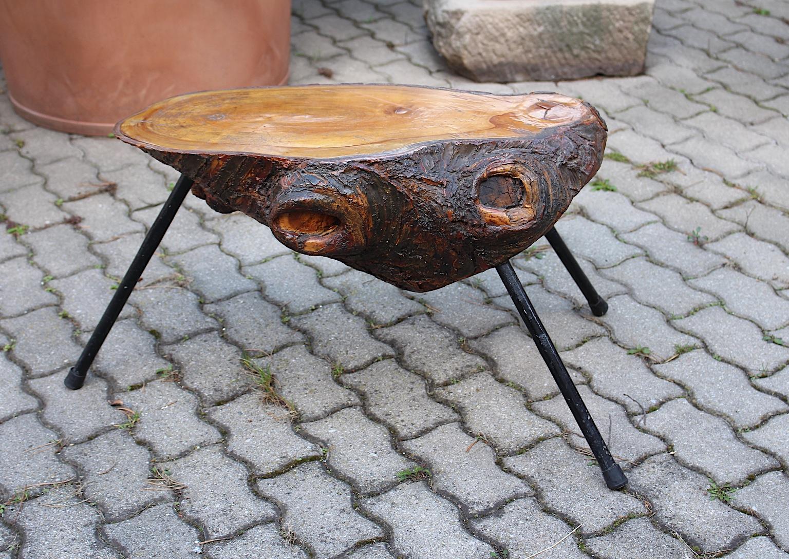 Mid Century Modern Vintage Tree Trunk Coffee Table with Metal Feet Austria 1950s For Sale 4