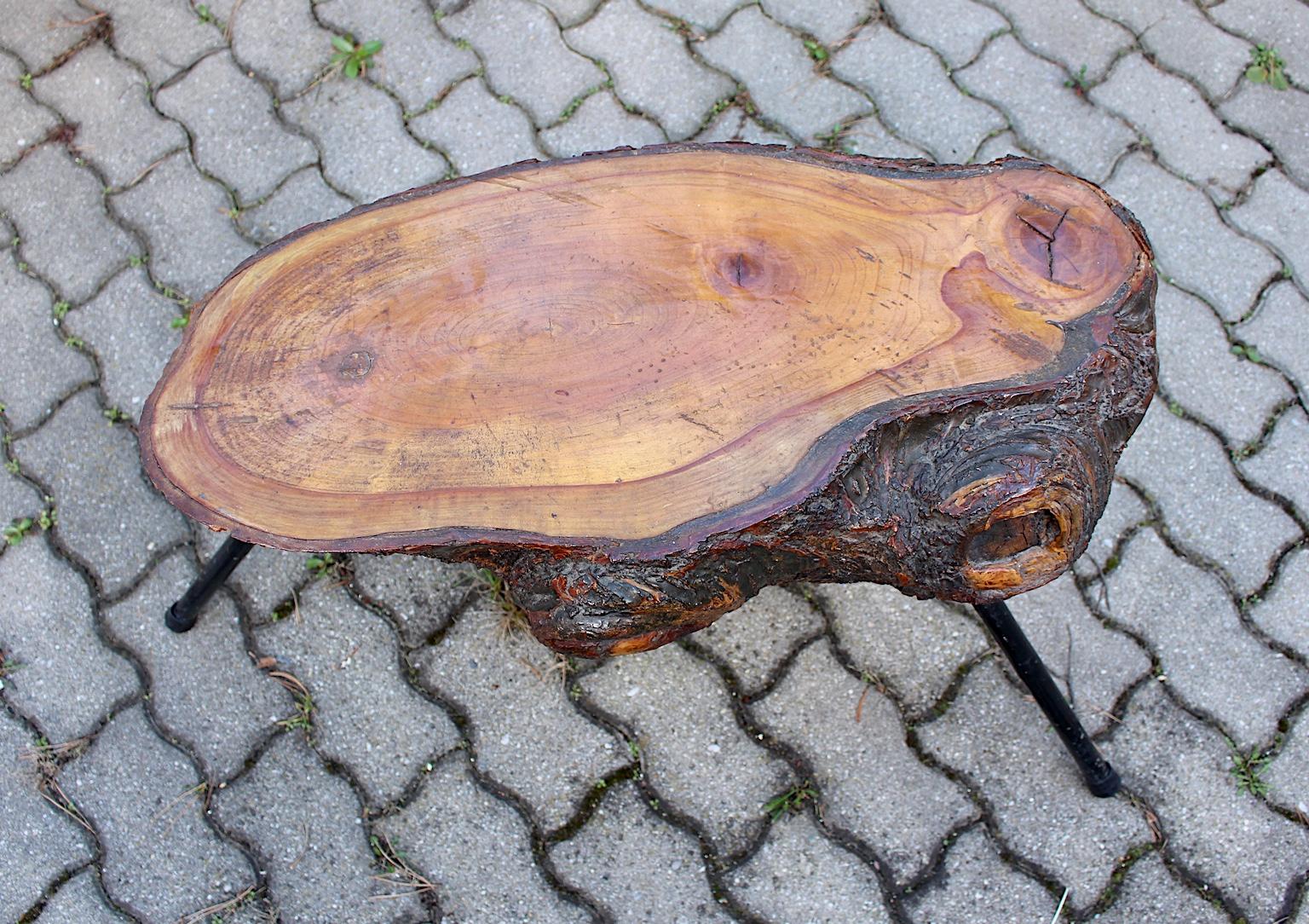 Mid Century Modern Vintage Tree Trunk Coffee Table with Metal Feet Austria 1950s For Sale 5