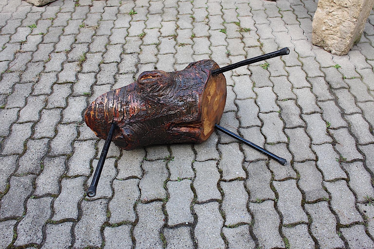 Mid Century Modern Vintage Tree Trunk Coffee Table with Metal Feet Austria 1950s For Sale 12