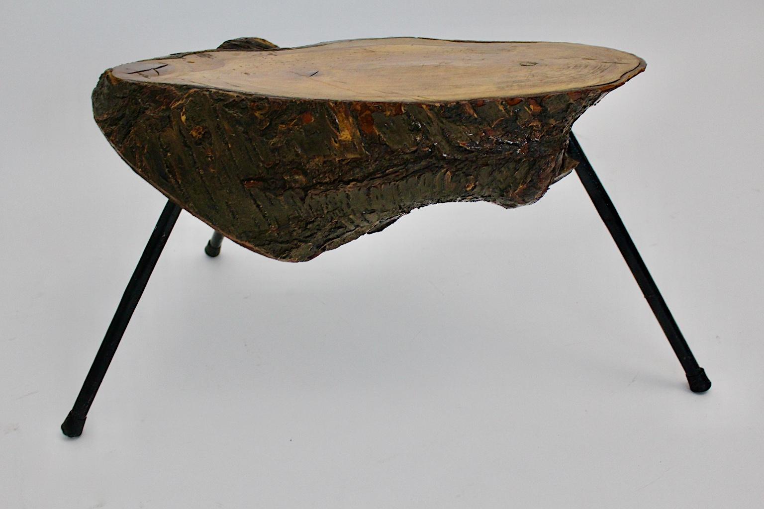 Mid Century Modern Vintage Tree Trunk Coffee Table with Metal Feet Austria 1950s For Sale 2