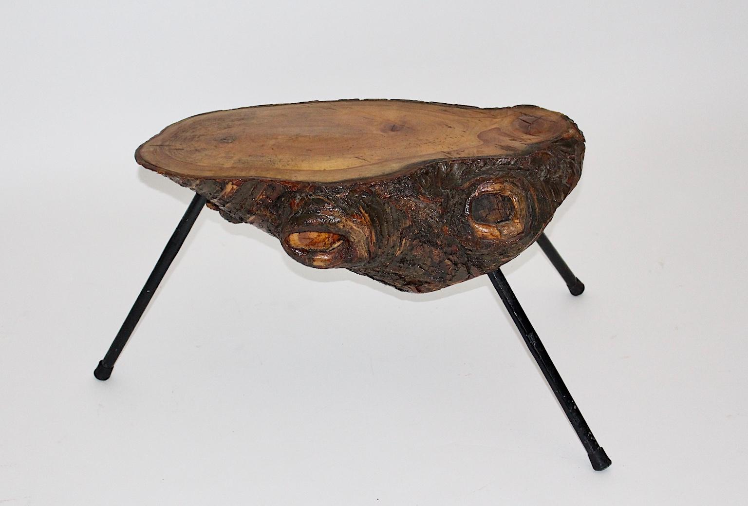 Mid Century Modern Vintage Tree Trunk Coffee Table with Metal Feet Austria 1950s For Sale