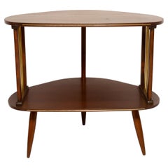 Mesa auxiliar de TV Vintage Moderna de Mitad de Siglo, Madera de haya, Polonia, años 60