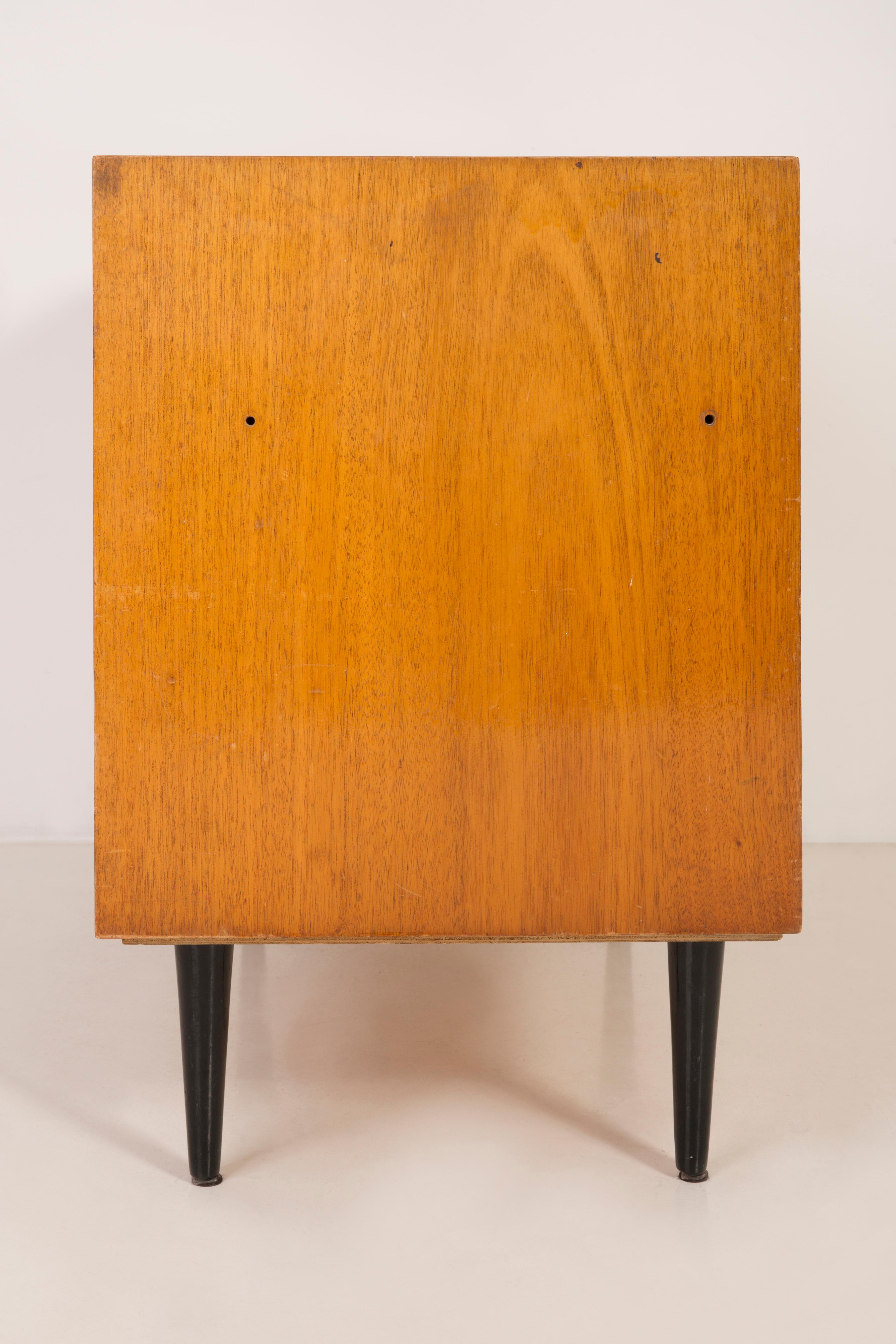 Hand-Painted Mid-Century Modern Vintage TV Table or Sideboard, Wood, Poland, 1960 For Sale