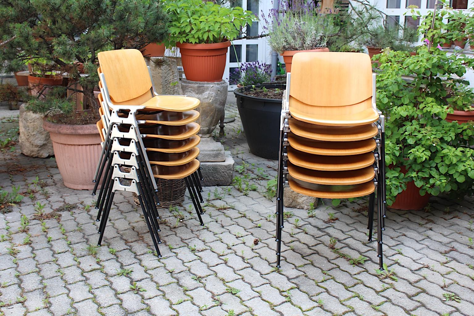 Mid-Century Modern vintage set of 12 aluminum beech plywood dining chairs DSC 106, which were designed by Giancarlo Piretti and executed by Castelli, 1960s, Italy.
The dining chairs shows also a stackable function and were made of an aluminum