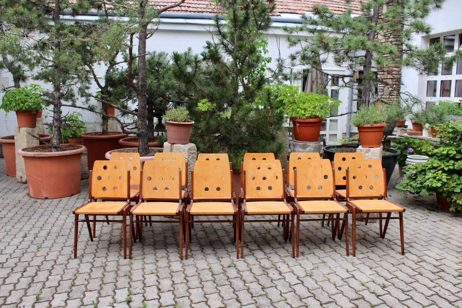 Mid-Century Modern Vintage Twelve Brown Dining Chairs Franz Schuster, 1950s 6