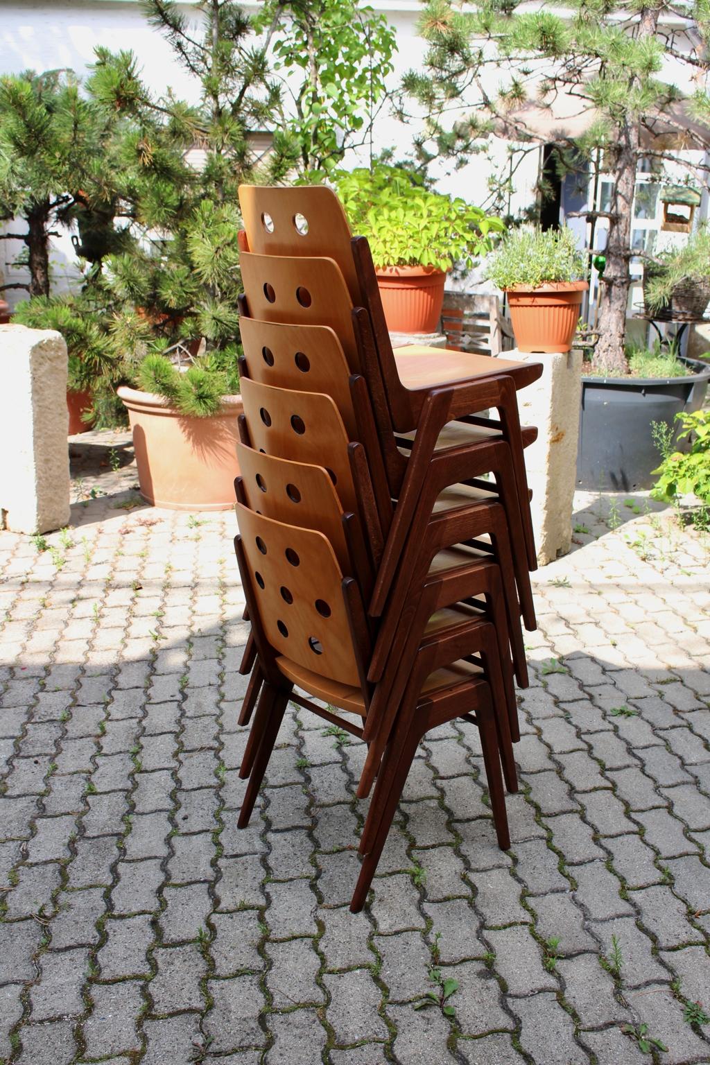 Mid-Century Modern Vintage Twelve Brown Dining Chairs Franz Schuster, 1950s 13