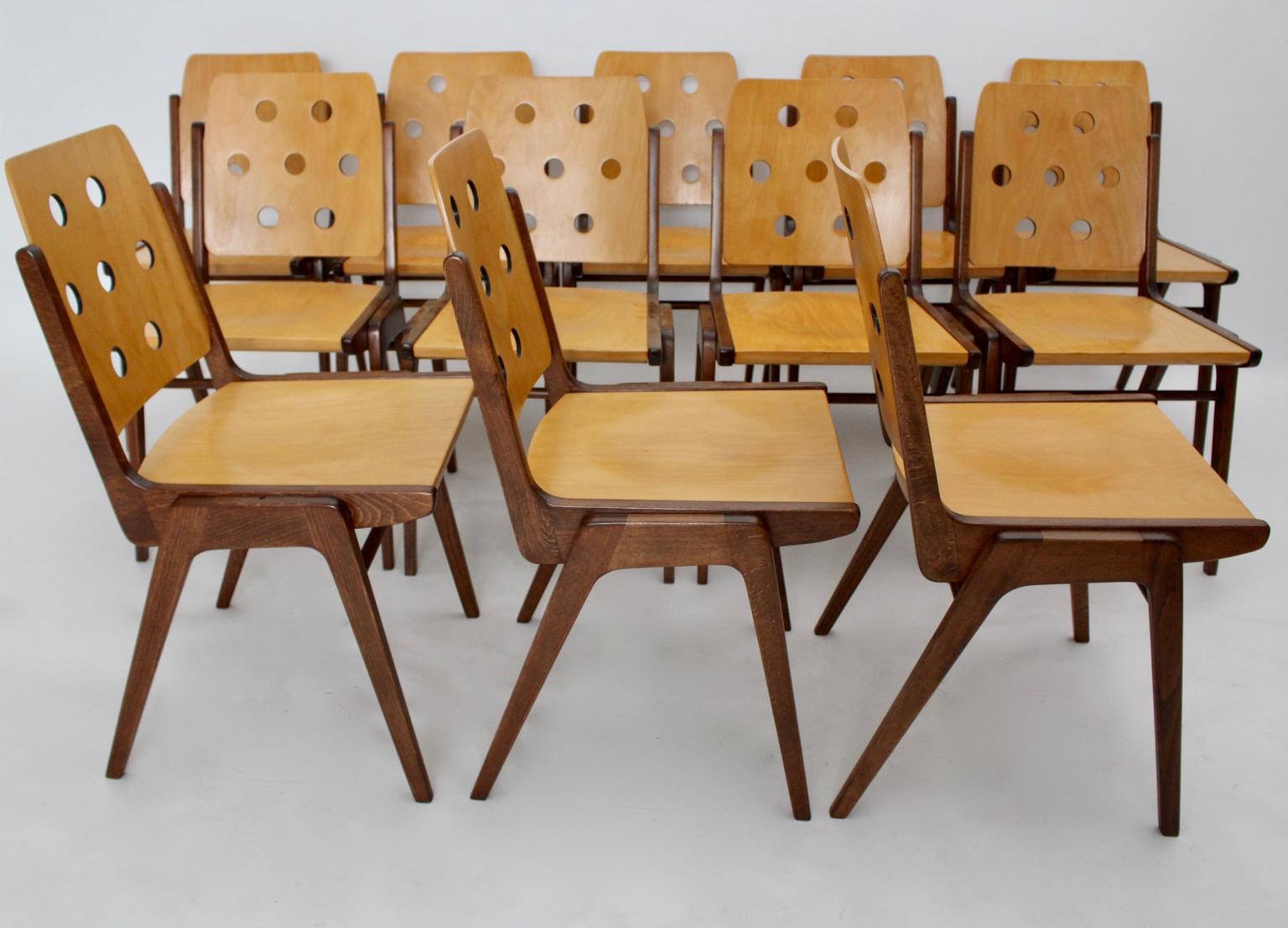 Mid-Century Modern Vintage Twelve Brown Dining Chairs Franz Schuster, 1950s 2
