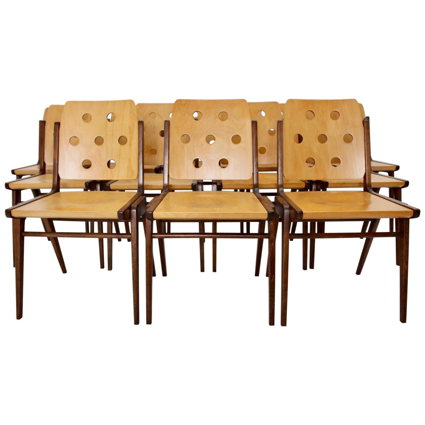 Mid-Century Modern Vintage Twelve Brown Dining Chairs Franz Schuster, 1950s
