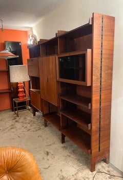 Mid-Century Modern Wall Unit by Vittorio Dassi, Italy, 1960s
