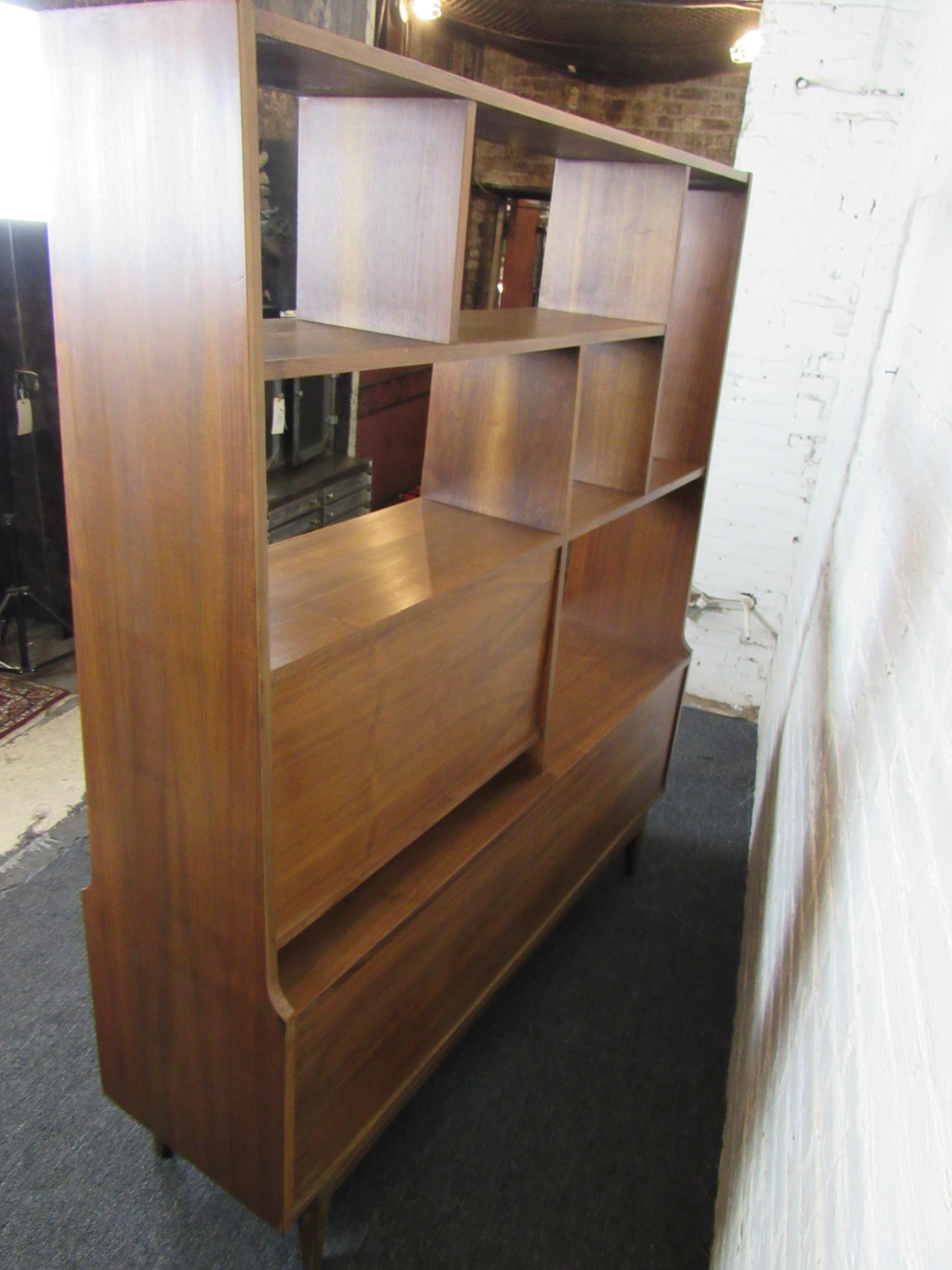 Mid-Century Modern Wall Unit 6