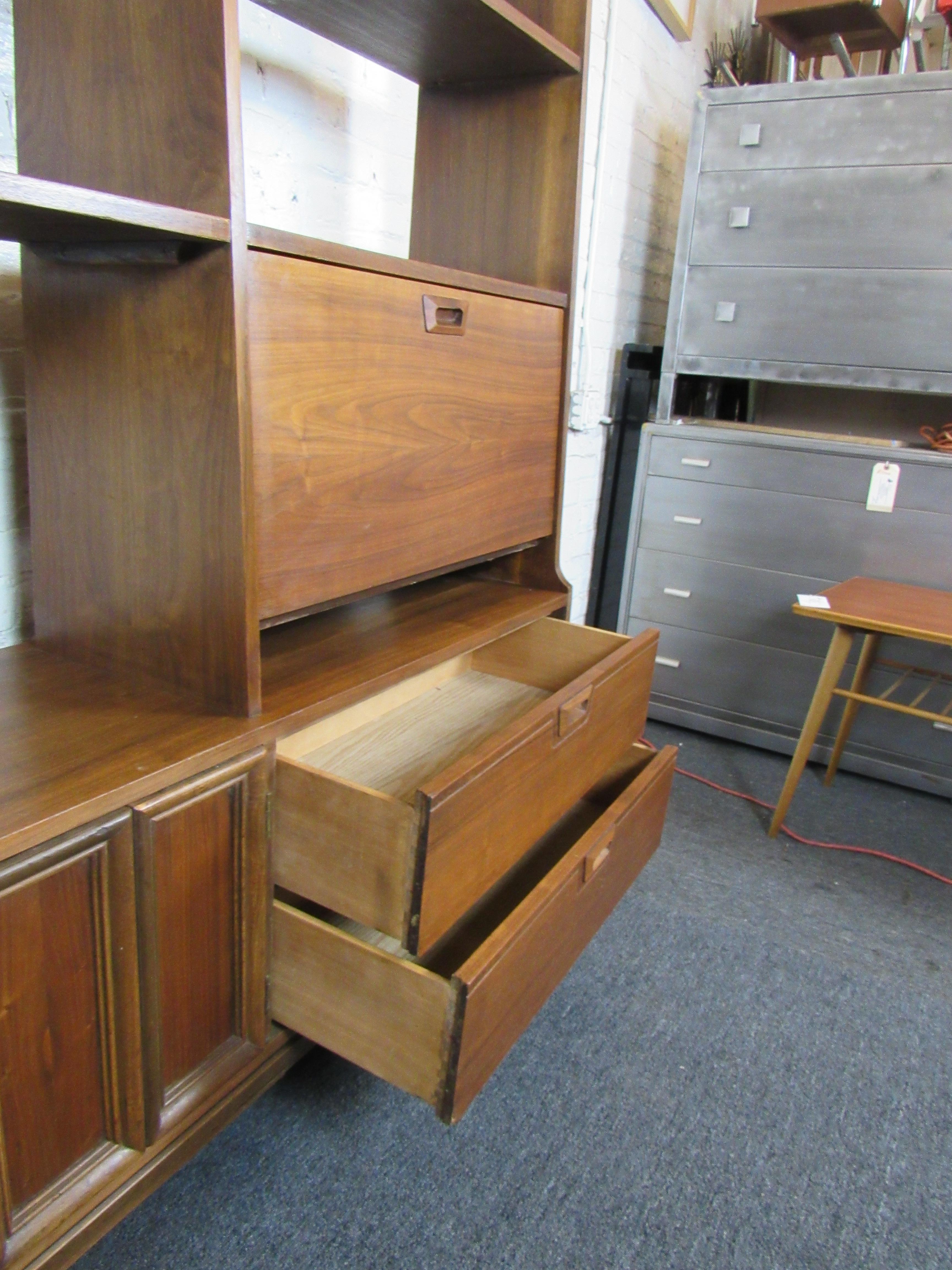 Mid-Century Modern Wall Unit 3