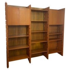 Gianfranco Frattin. Mid-Century Modern Wall Unit, Italy, 1960s