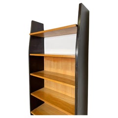 Mid-Century Modern Wall Unit, Italy, 1970s