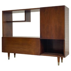 Moderner BAR/VINYL-Schrank aus Nussbaumholz, Mid-Century Modern, ca. 1960er Jahre