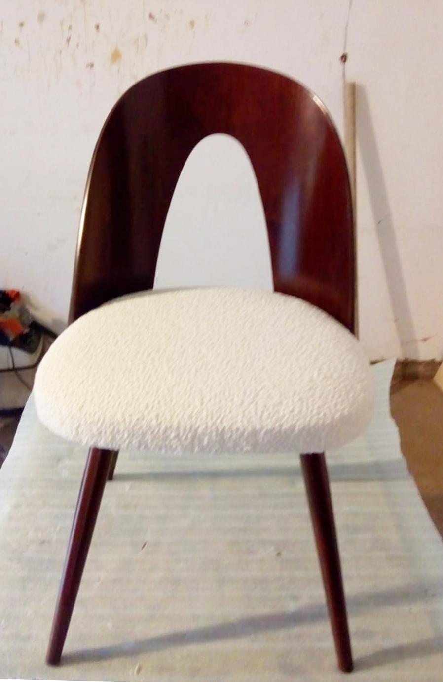 Mid-Century Modern Walnut Dining Chair by Antonin Suman In Excellent Condition In Vienna, AT