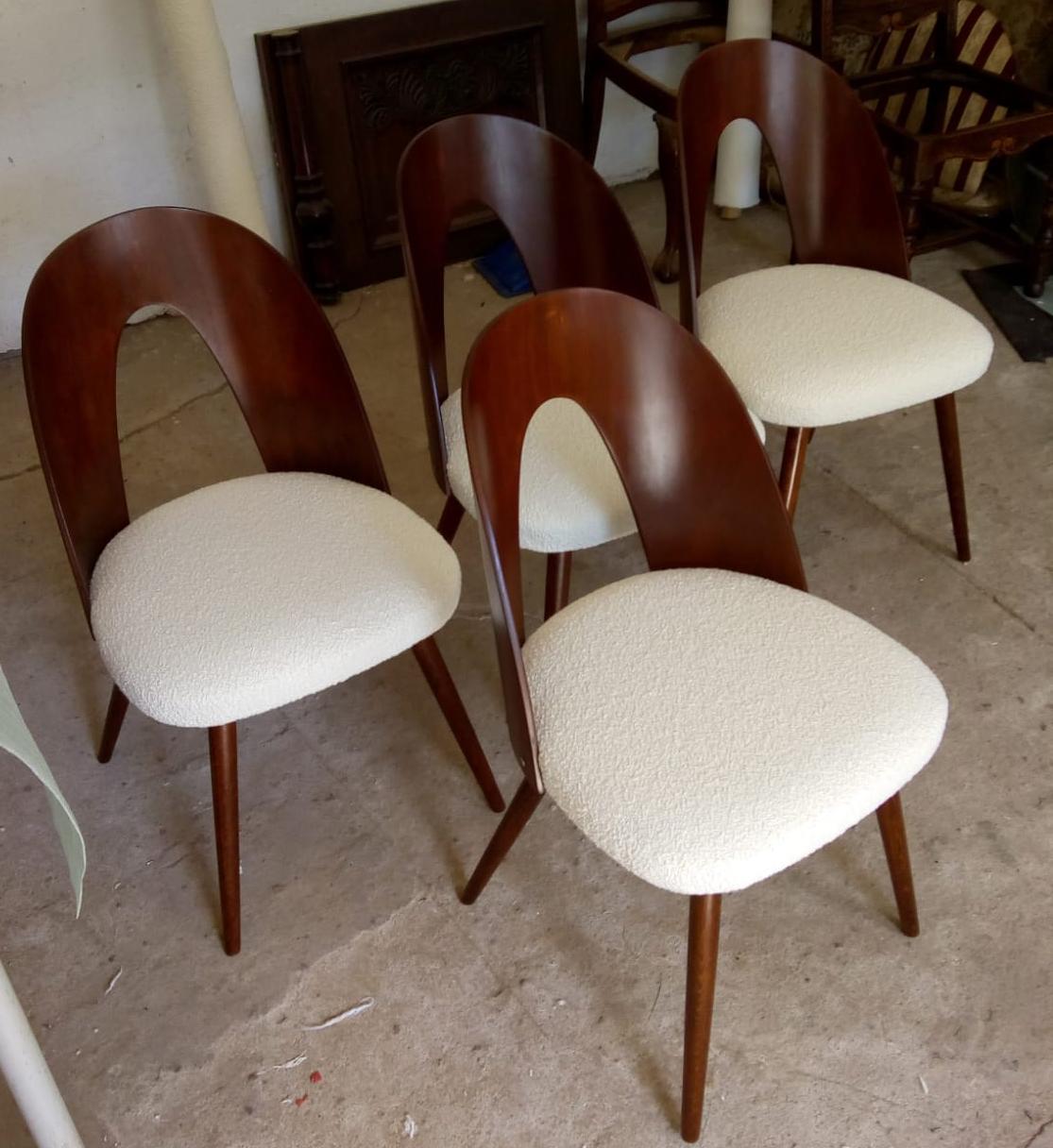 Mid-20th Century Mid-Century Modern Walnut Dining Chair by Antonin Suman