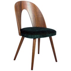 Mid-Century Modern Walnut Dining Chairs by Antonin Suman