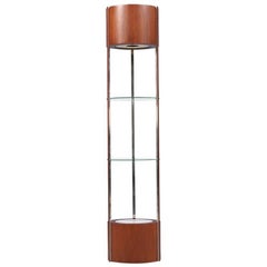 Cabinet de curiosité moderne du milieu du siècle en noyer & acier