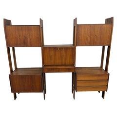 Mid-Century Modern Walnut Wall Unit