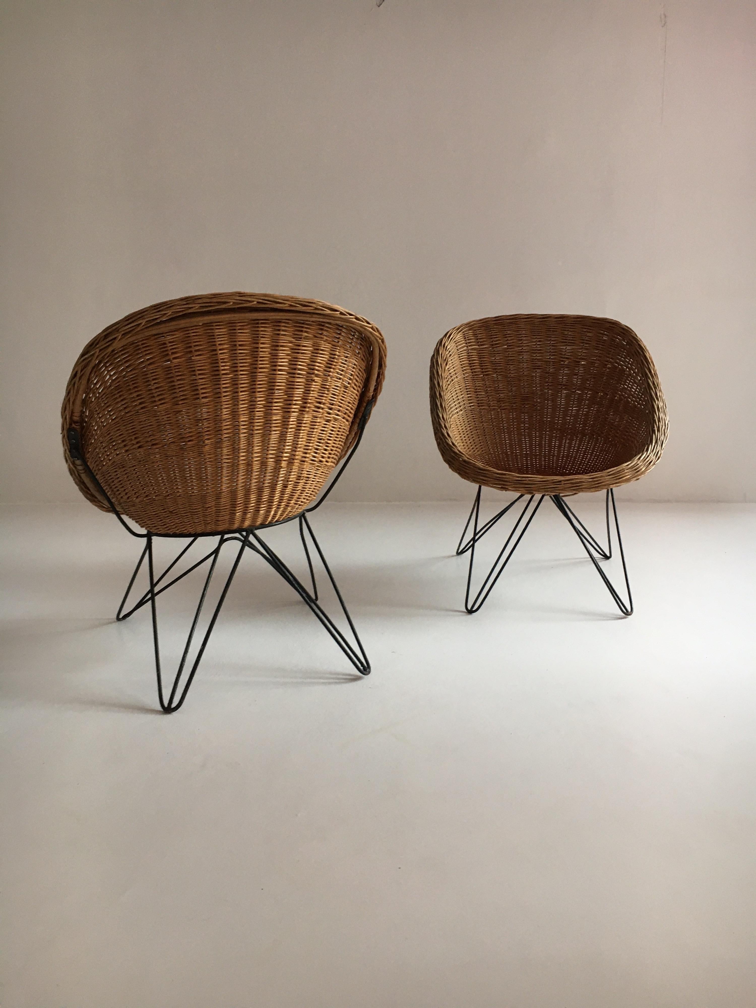 Austrian Mid-Century Modern Wicker Basket Chairs Hairpin Legs, Austria, 1950s