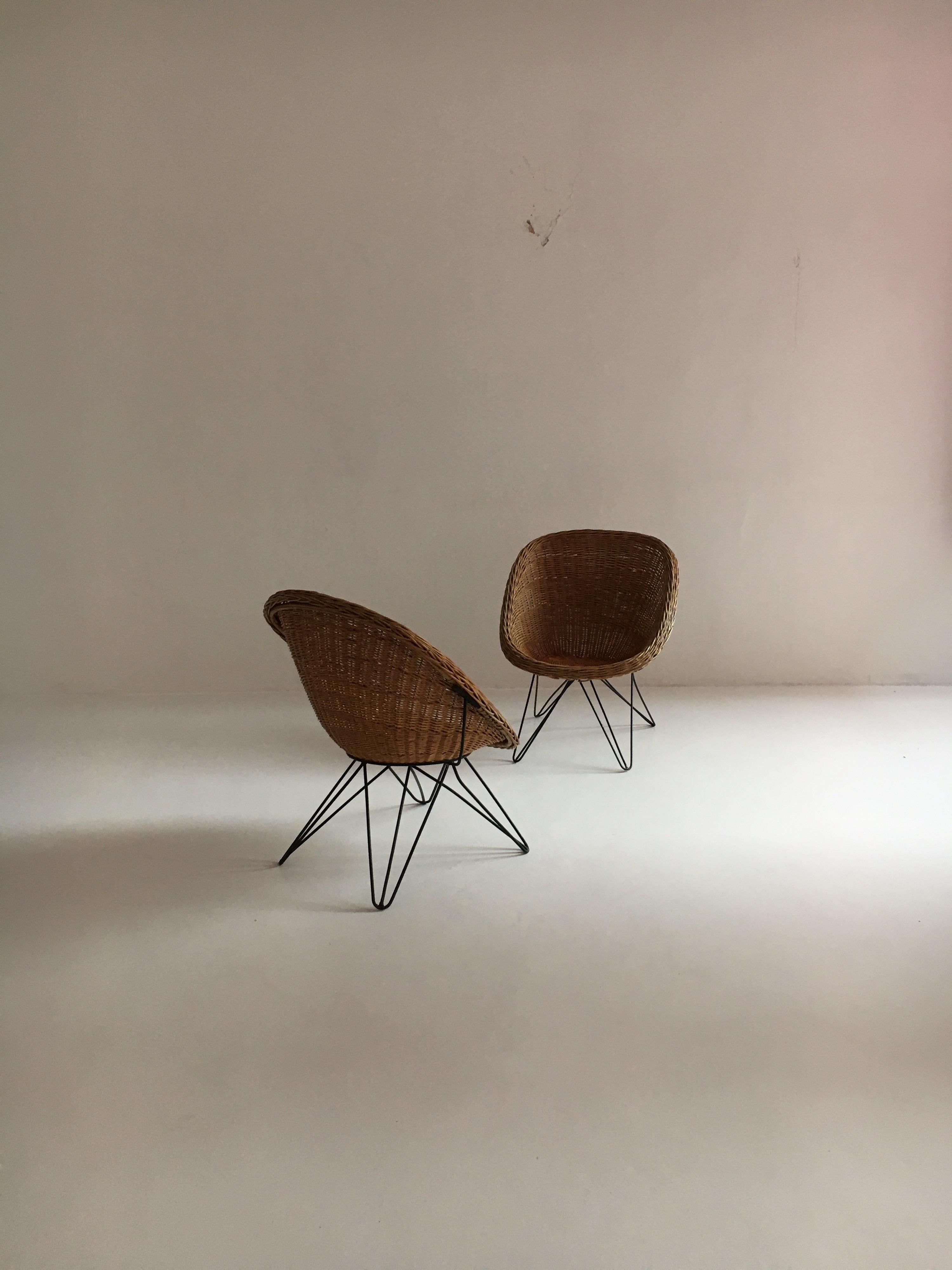 Mid-20th Century Mid-Century Modern Wicker Basket Chairs Hairpin Legs, Austria, 1950s