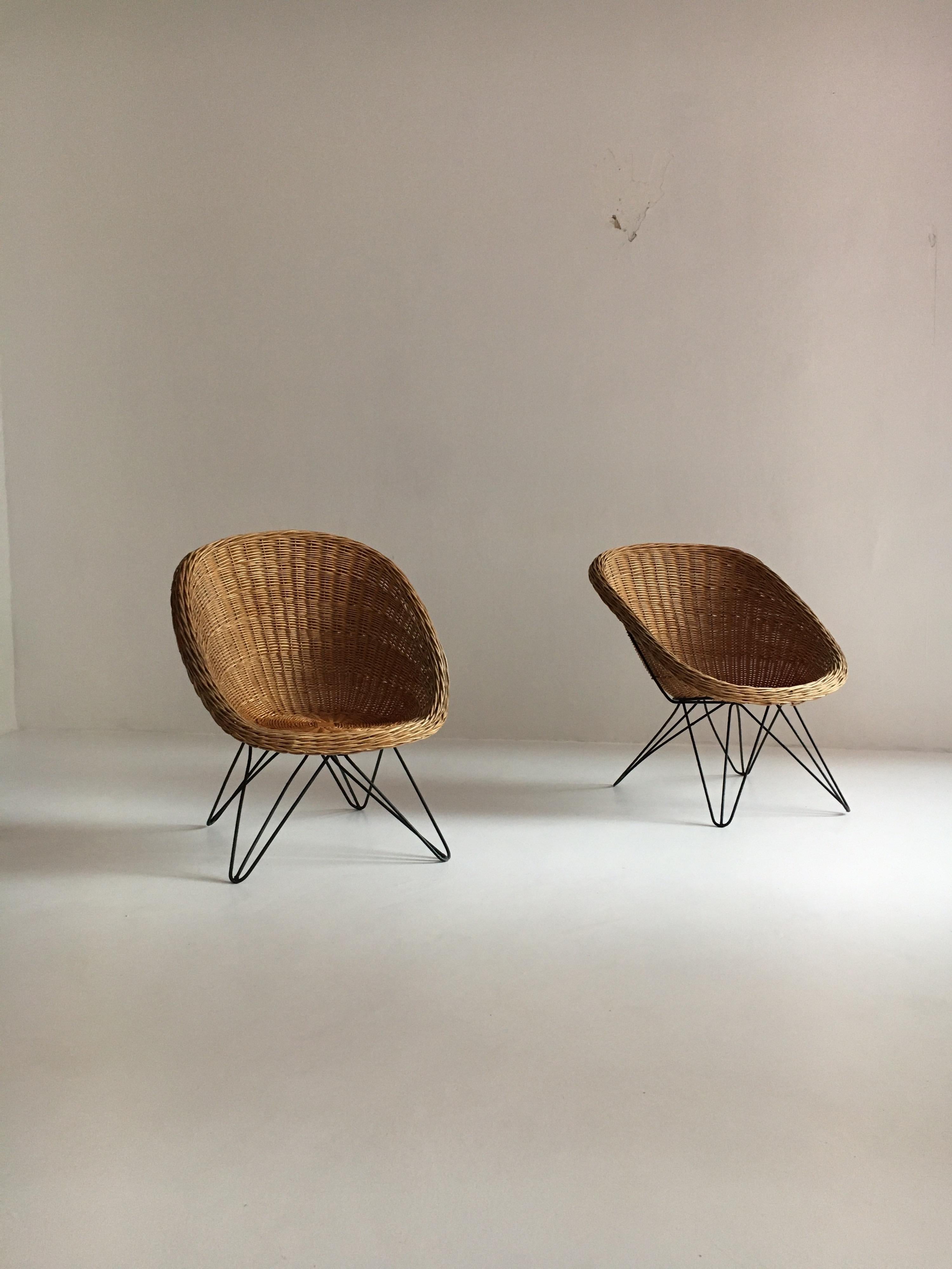 Mid-Century Modern Wicker Basket Chairs Hairpin Legs, Austria, 1950s 1